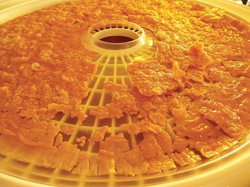 You Be the Chef: Dehydrating Food and Storing It for Your Thru