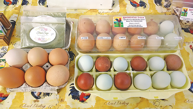 Home-Produced Chicken Eggs - 9.377 - Extension