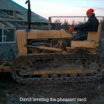 David leveling the new pheasant yard