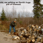 Jackie splits firewood.