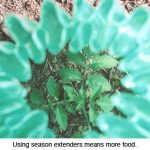 using-season-extenders-means-more-food-web-jpeg