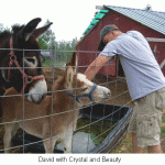 david-with-donkeys