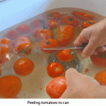 peeling-tomatoes