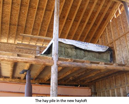 Hay-loft