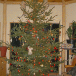 Xmastree