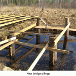 bridge-pilings