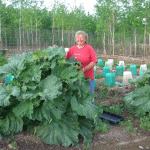 jackie-and-rhubarb-002