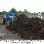 compost