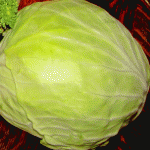 Cabbage