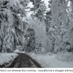 Snowy-driveway