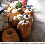 Pumpkins-in-entryway