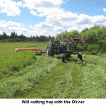 Cutting-hay