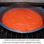 Tomato-sauce