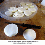 Dehydrating-onions