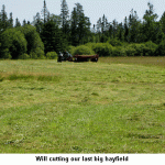 Cutting-hayfield