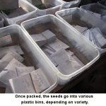 Sorted-seeds