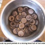 peat-pellets