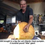 Atlantic-Giant_9894