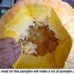 Pumpkinpies_9895