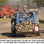 mini-cordwood_9903