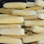 Corn_2856