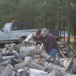 Woodpile_4517