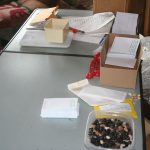 Seedpacking_6275