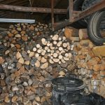 Woodshed_6287