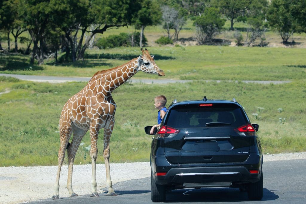 Fossil rim discount online 2021